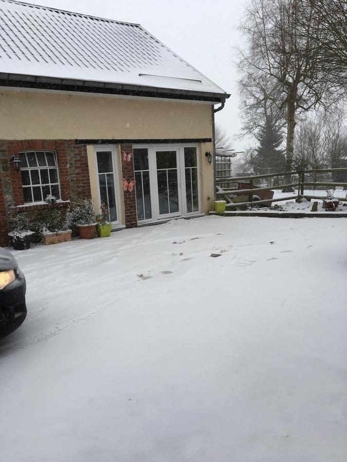 The Cottage And The Loft Amblève Exterior foto